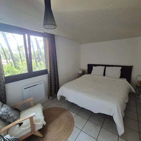 Seignosse T2 - 500m Ocean Apartment Soorts-Hossegor