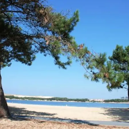 Apartment Seignosse T2 - 500m Ocean *
